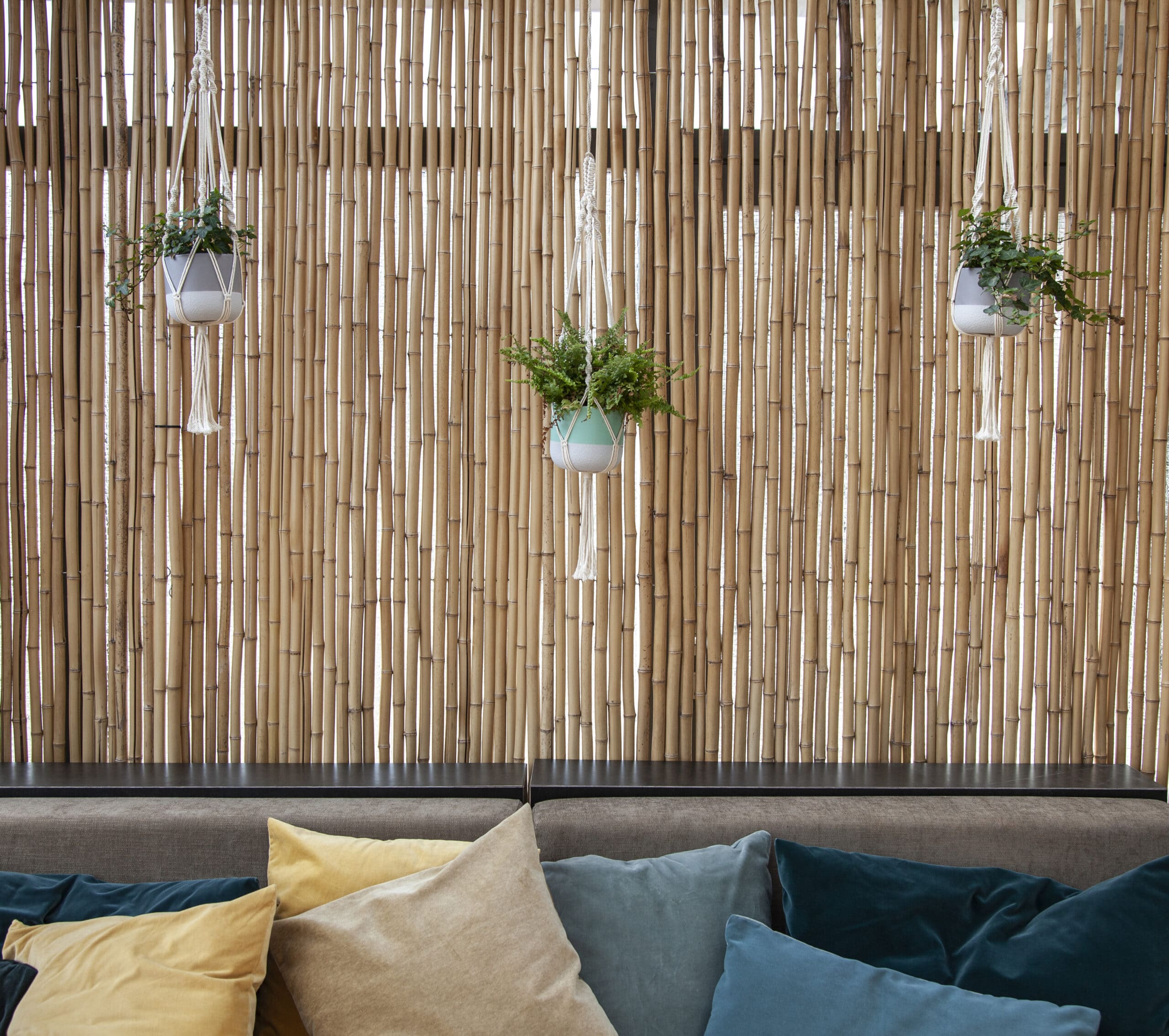 Slider Bild